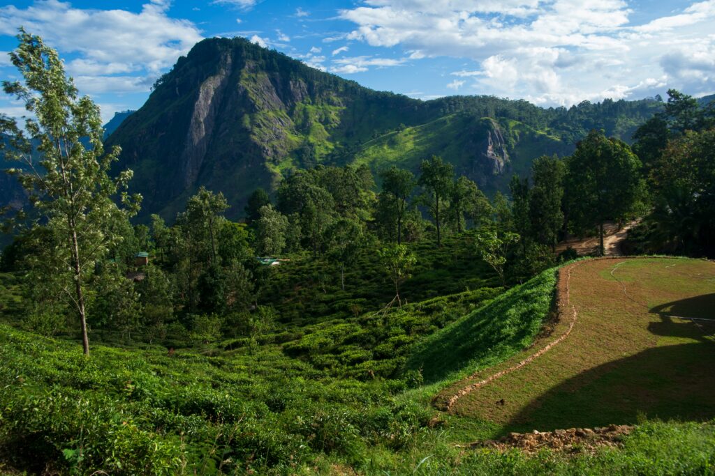 video production services in sri lanka